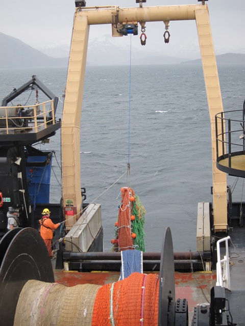 Picture of Kodiak landscape