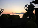 Sunset at the end of a Oscar Dyson mooring cruise