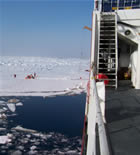 View of Ice operation in the distance . Photo by C.Ladd