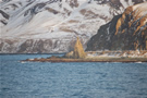 Leaving Dutch Harbor via the USCGC Healy, a view of Priest Point is seen.