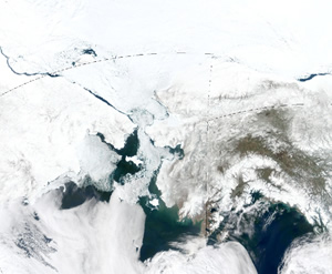 MODIS "true color" satellite image